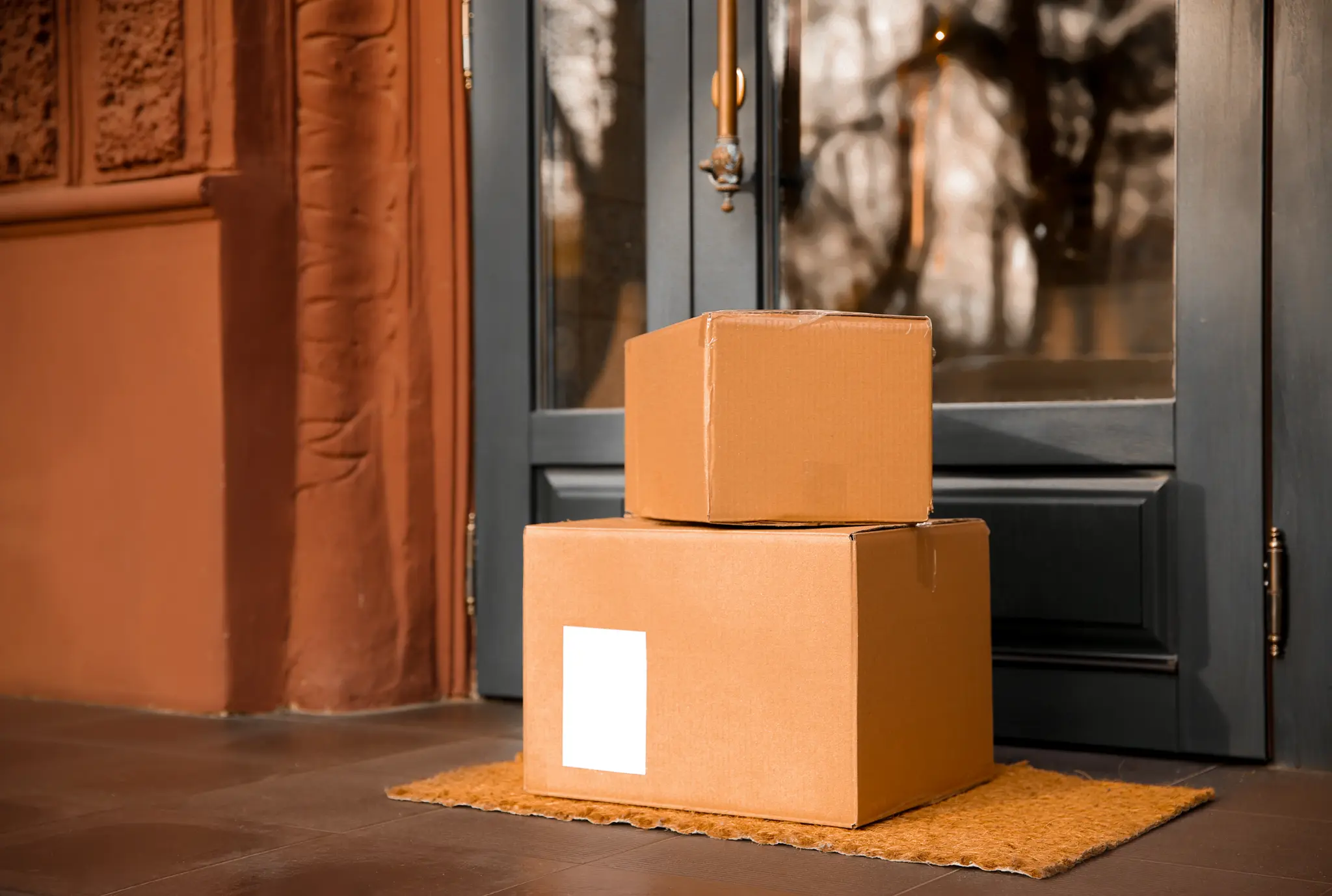What is a FedEx Audit?