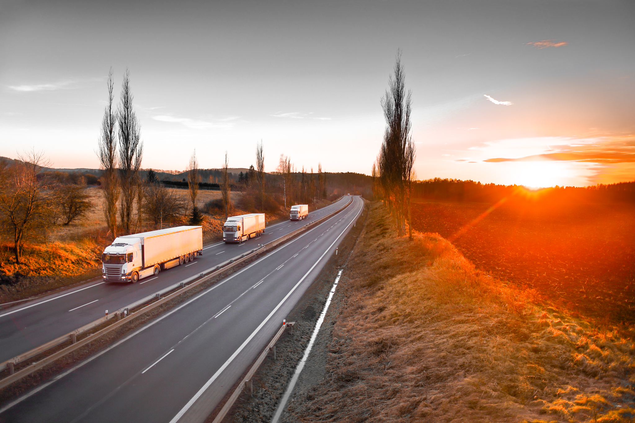 Parcel Spend Management: A Complete Guide